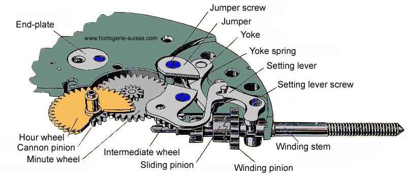Из чего состоят часы. Механизм перевода стрелок часов. Механизм перевода стрелок наручных механических часов. Устройство часов терминология. Схема ремонтуара часов.
